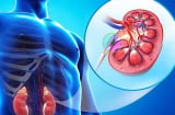 3 bí quyết dưỡng thận, thải độc hằng ngày