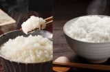 Mẹo ăn Cơm Trắng để không lo tăng đường huyết và béo phì: Ăn cho đã thèm mà vẫn khỏe