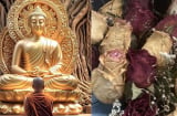 Người có 3 đặc điểm này Càng sống càng Bạc phúc, dù giàu có cũng dễ bi đát khi tuổi già