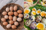 Trứng giàu dinh dưỡng nhưng 6 nhóm người này cần hạn chế