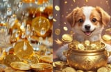 Thứ 2,  Thứ 3 rực rỡ: 2 tuổiđược Thần Tài hộ tống, làm gì cũng thuận, 1 tuổi 'trúng số nghìn tỷ'