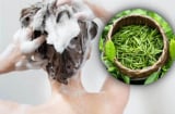 Cách gội đầu bằng lá trà xanh giúp giảm rụng tóc, làm mượt tóc
