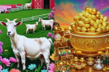 Top 3 tuổi Trúng Độc Đắc 200 tỷ đúng 25/9: Ngập Trong Biển Tiền, mua Vàng không cần xem giá