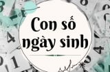 Người sinh vào 3 ngày này âm lịch: Số Phận Dát Vàng, càng già càng giàu có