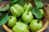 Quên cam, chanh đi: Loại quả này mới là giàu Vitamin C bậc nhất