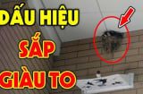 4 dấu hiệu nhà sắp trúng số giàu to