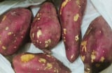 Ăn khoai lang ngon miệng nhưng cực hại cho 5 người này