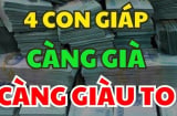 Khổ Trước Sướng Sau: 4 con giáp Vượng Vận nở muộn, phải lớn tuổi mới giàu