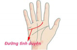 Xem bói chỉ tay để biết ngay bao giờ bạn lấy chồng?