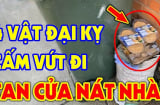 4 thứ trong nhà cũ hỏng cũng đừng dại vứt đi, để lâu tích thêm Phúc