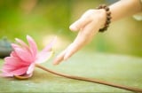 Tất cả những gì bạn cho đi, sẽ quay trở lại với bạn. Bạn có tin không?