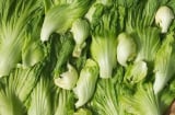 Chợ Việt có một loại rau giàu canxi gấp 8 lần cá, giá rẻ, dễ nấu nhưng nhiều người chưa biết