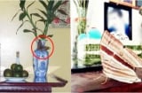 Bát hương có dấu hiệu này: Điềm báo may mắn, gia chủ Trúng Lớn tiền tiêu 3 đời