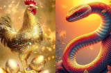 4 tuổi Linh Hoạt gặp thời đổi vận thành Ông Hoàng Bà Chúa thời Công Nghệ Số, Giàu Sang Trong Vài Năm Tới