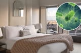5 món đồ bẩn nhất trong nhà nghỉ, khách sạn