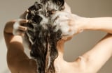Bao lâu thì nên gội đầu 1 lần là tốt nhất?