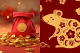 Đổi vận sau tuổi 40: 3 con giáp tiền vào như nước, giàu sang phú quý tới tận cuối đời