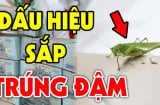 Nhà có dấu hiệu này sắp Trúng Đậm: Càng ở càng giàu có, 3 đời không hết phúc