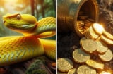 Top 3 con giáp Mưu Trí Gặp Thời, Tiền Về Tới Tấp sau ngày 6/10