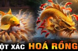 Top 4 con giáp Phá Kén Hóa Rồng, vươn lên hưởng phúc sau ngày 5/10