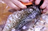 3 loại cá cần tránh mua ở chợ: Rẻ mấy cũng không nên, đặc biệt loại số 3 nhiều bà nội trợ thích
