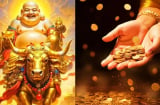 3 con giáp không chịu nghèo khó, Bất Chấp Làm Giàu, vượt muôn thử thách, càng già càng vang danh