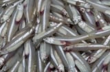 7 loại cá nên mua ngay khi gặp ở chợ: Bổ dưỡng ngang nhân sâm, tổ yến, lại an toàn không hóa chất