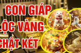 Từ 7/10 đến 20/10, 3 tuổi Phúc Sâu - Lộc Dày tiền tiêu không hết, 1 tuổi thị phi