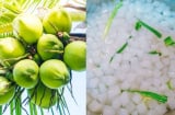 Hướng dẫn cách làm thạch dừa thơm ngon và đơn giản tại nhà