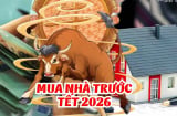 Lửa Thử Vàng: 3 tuổi vượt gian nan, Vươn Mình đón phú Quý sau 100 ngày