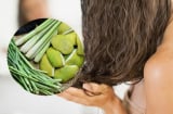 Mẹo dùng lá sả chăm sóc tóc làm sạch da đầu và giảm gàu nhanh chóng