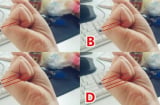 Nắm tay lại mà đếm đường chỉ tay: Ra đúng số này đời ăn không hết của