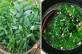 Tài sao bạn nên vò rau ngót trước khi nấu?