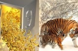 Tích tụ 3 năm: 3 con giáp này sẽ giàu sụ trong 90 ngày tới, tiền đẻ ra tiền, phúc lộc đủ đầy