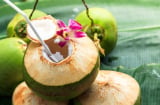 Có nên uống nước dừa hằng ngày không?