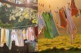 Vì sao người xưa nhắc con cháu không phơi quần áo qua đêm? Không chỉ tâm linh mê tín mà còn rất thực tế
