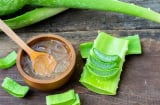 Nha đam – “thần dược” phục hồi và nuôi dưỡng mái tóc khỏe đẹp