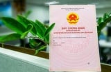 Hàng triệu người được hưởng lợi từ Luật Đất đai mới 2025: Những quyền lợi đặc biệt không thể bỏ lỡ