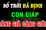 Top 3 con giáp Trẻ Khổ Già Giàu, số trời định  sẵn không cãi được