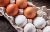 Trứng nâu và trứng trắng: Khác biệt nằm ở đâu, loại nào tốt hơn cho sức khỏe?