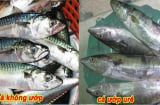 5 dấu hiệu cá ướp ure, cho không cũng đừng đem về