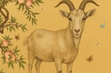 Tử vi 12 con giáp tuần 20–26/10: Có tuổi bứt phá ngoạn mục, có tuổi lao đao vì tiểu nhân quấy phá