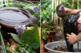 4 loại nước gội đầu chống rụng tóc, giúp đen bóng, tóc con mọc lên không ngừng