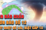 Bão số 12 Fengshen quét Biển Đông: Khả năng mạnh lên Cấp 11 - Giật Cấp 13, cảnh báo tại các tỉnh Trung Bộ