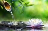 3 khổ nạn lớn nhất cuộc đời theo lời Phật dạy, vượt qua được ắt sống an nhàn hưởng phúc