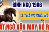 3 tuổi mệnh bùng sáng như pháo hoa, Giàu Có Vô Biên sau ngày 22/10