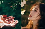 Trên đời này, người duy nhất ta có thể dựa vào chỉ là người này