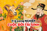 Gieo Nhân Gặt Quả: 2 tuổi Tiền Tài Danh hưởng cả, 2 tuổi vất vả xa quê