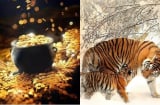 0h Thứ Bảy (25/10): 3 con giáp sau 1 đêm thấy ví nặng trĩu, Chủ Nhật thành ông hoàng thịnh vượng