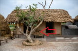 5 dấu hiệu ngôi nhà 'cạn khí', con cháu khốn đốn trăm bề